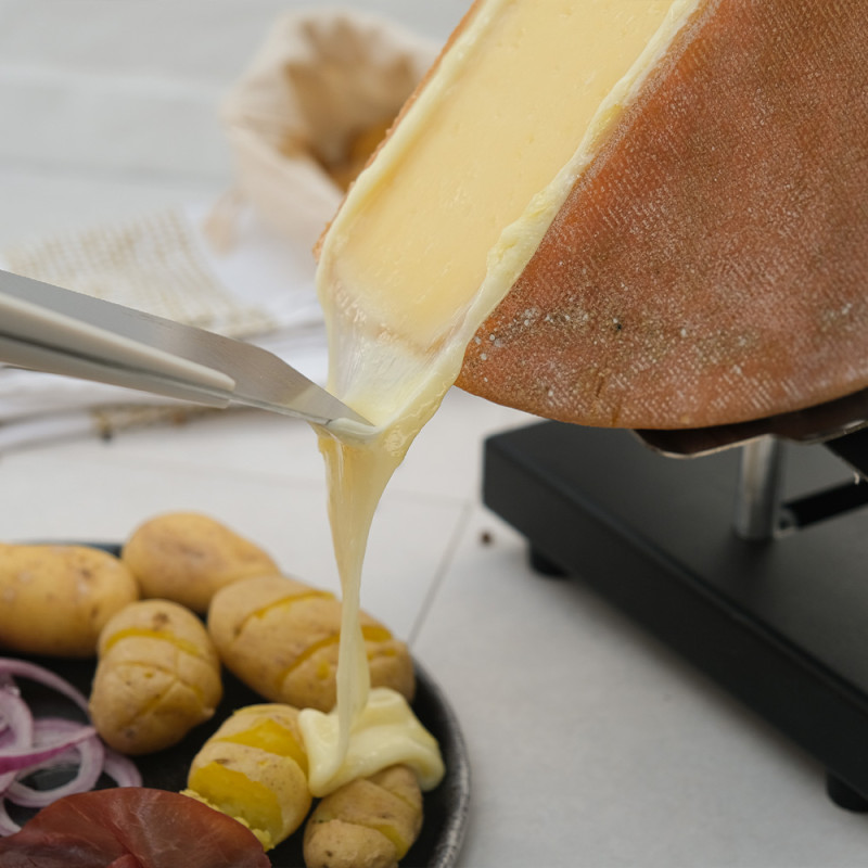 ROGHA Appareil à Raclette Traditionnel/Appareil pour Demi Meule de Fromage  à Raclette · Résistance 600W